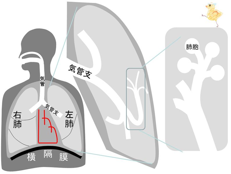 ファイル:03769.jpg