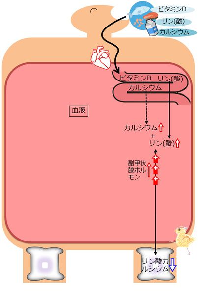 ファイル:04394.jpg
