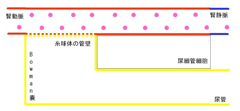 ファイル:00285.jpg