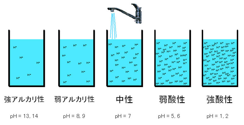 ファイル:00602.jpg