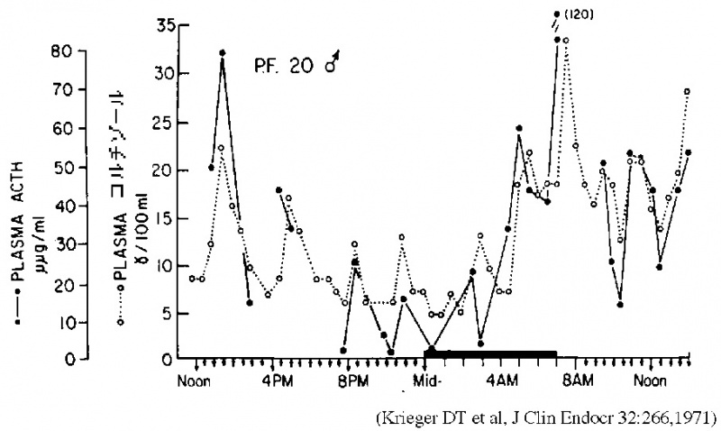 ファイル:00780-wb.jpg