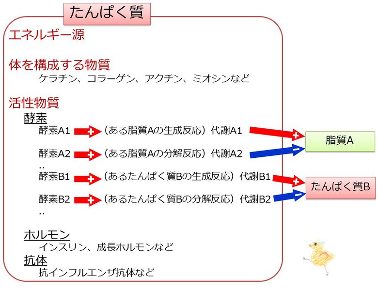 ファイル:04042.jpg