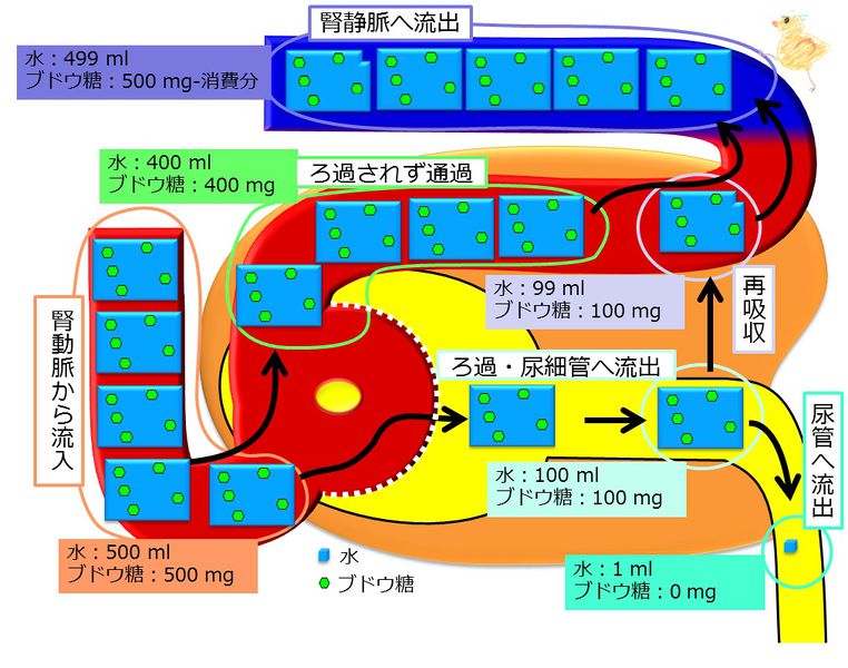 ファイル:04345.jpg