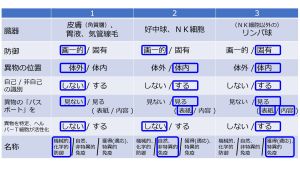 /wiki/images/thumb/b/bd/LymphocytesIntroTable-Jpn.jpg/300px-LymphocytesIntroTable-Jpn.jpg