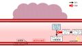 2025年5月1日 (木) 17:55時点における版のサムネイル