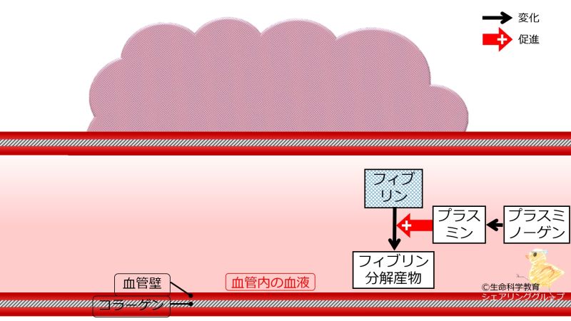 ファイル:00522.jpg