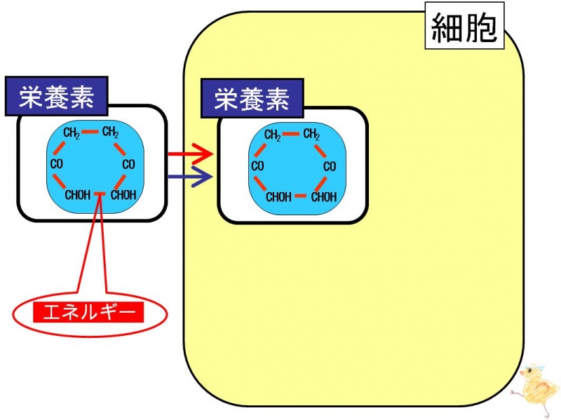 ファイル:03299.jpg