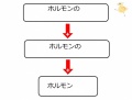 2016年12月14日 (水) 15:07時点における版のサムネイル