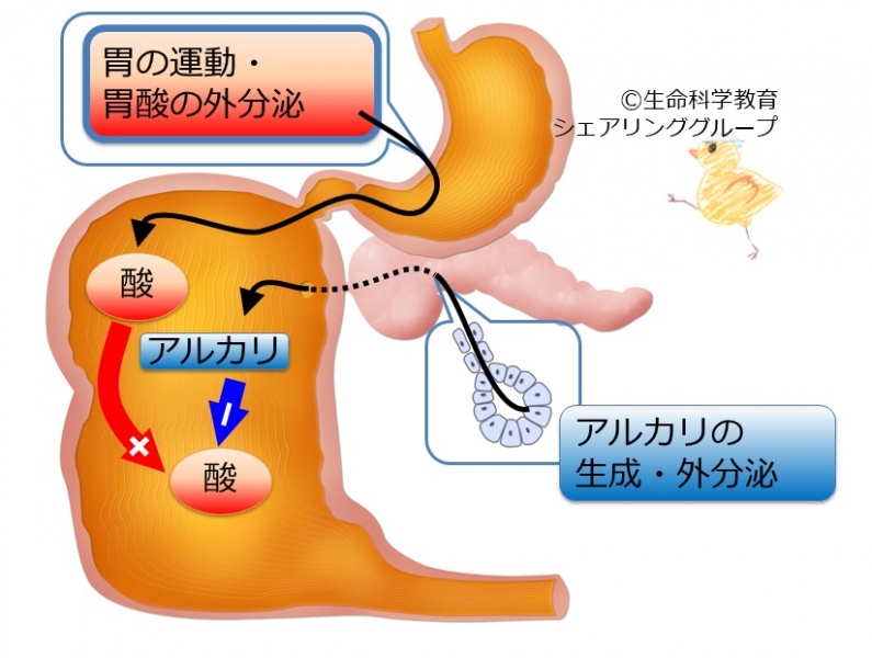ファイル:04023.jpg