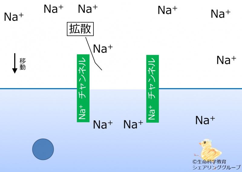 ファイル:Nachannel diffusion ja-wb.jpg