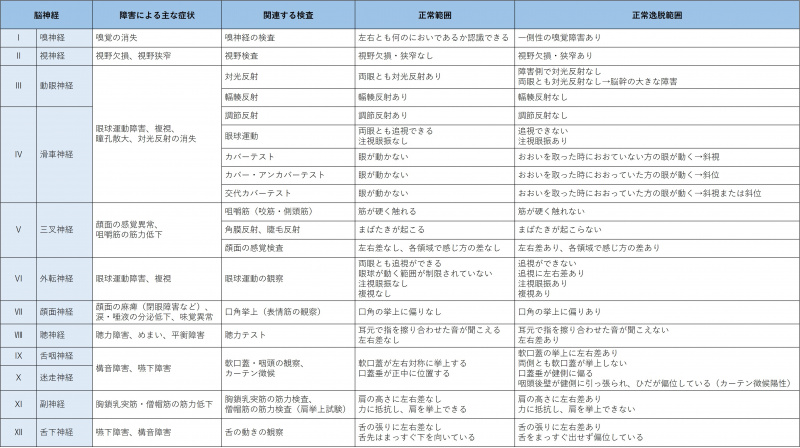 ファイル:表-神経系-検査2-脳神経12対の評価.jpg