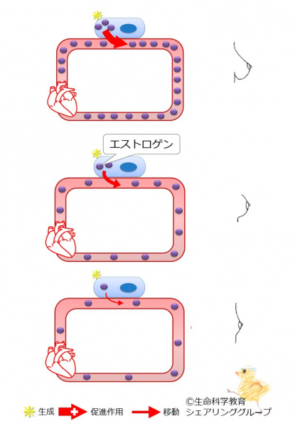 ファイル:03765-wb.jpg