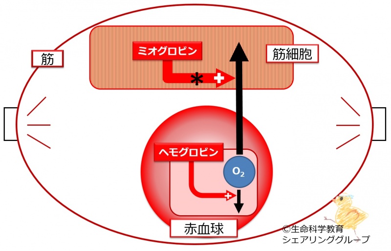 ファイル:04087.jpg