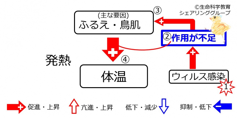 ファイル:InfectionFever-wb.jpg