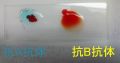2024年3月5日 (火) 22:56時点における版のサムネイル
