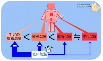 /wiki/images/thumb/c/c0/%E4%BD%93%E6%B8%A9%E3%81%AE%E9%83%A8%E4%BD%8D%E5%B7%AE.jpg/400px-%E4%BD%93%E6%B8%A9%E3%81%AE%E9%83%A8%E4%BD%8D%E5%B7%AE.jpg