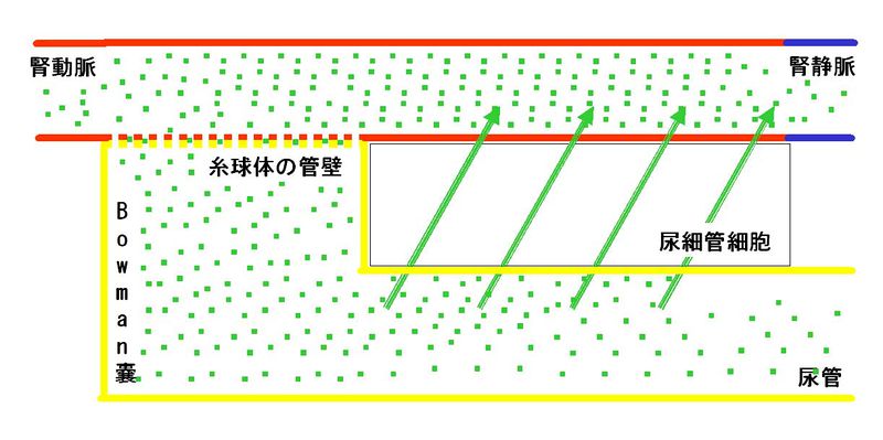 ファイル:00332.jpg