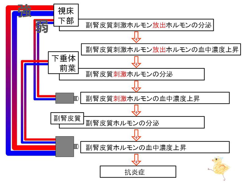 ファイル:01866.jpg