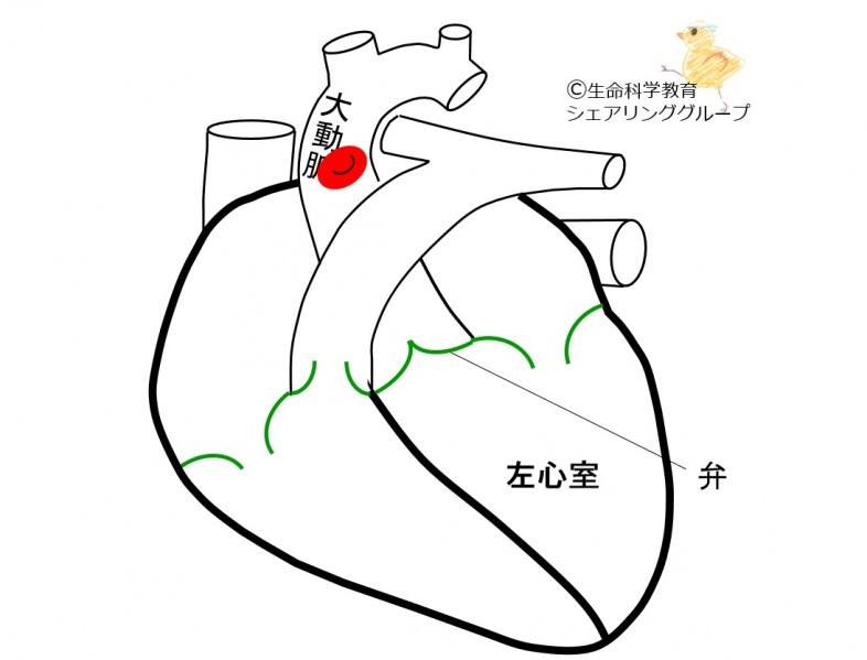 ファイル:03281-wb.jpg