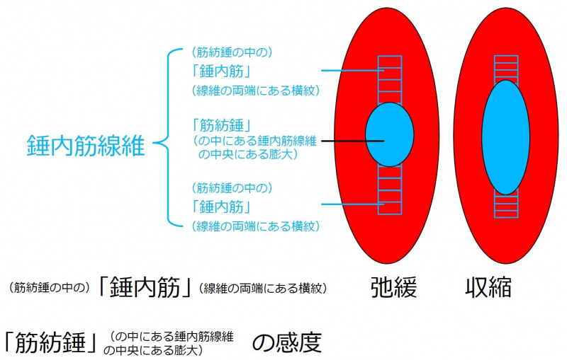 ファイル:03512-wb.jpg