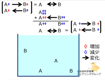 ChemicalEquilibriumChangesByDecInMolA-4.jpg