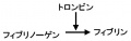 00503.jpg