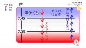 00649.jpg