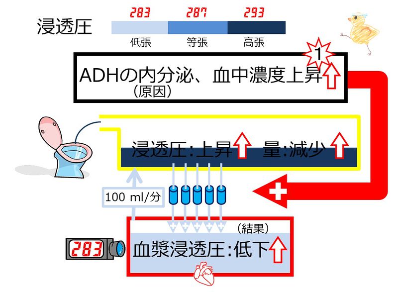 ファイル:03995.jpg