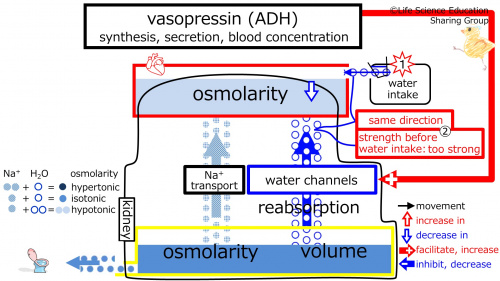 ADHControlToWaterIntake1Eng.jpg