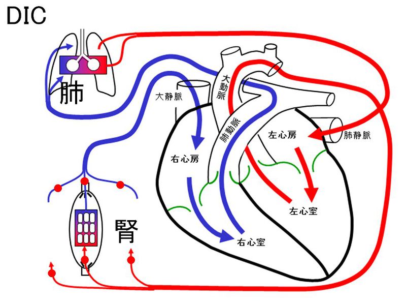 ファイル:02497.jpg