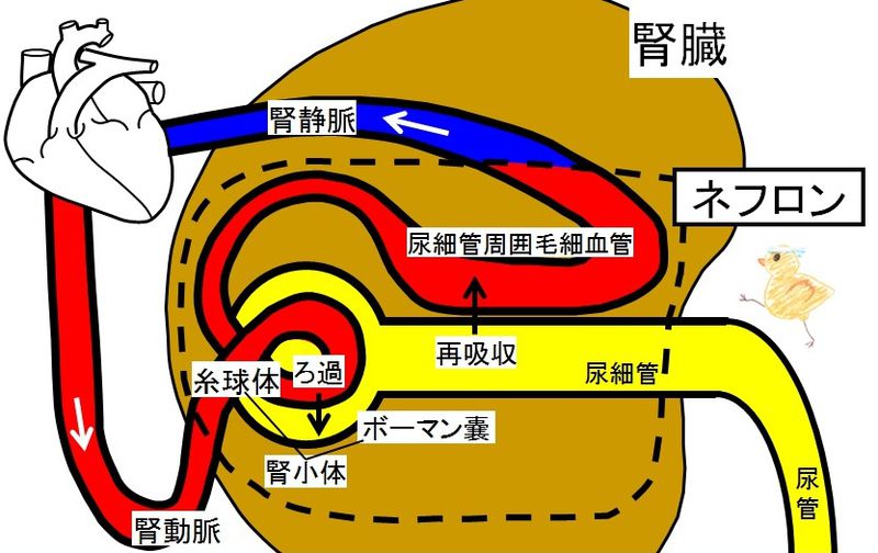 ファイル:03749.jpg