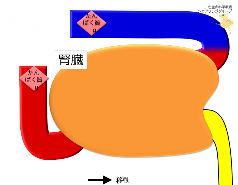 ファイル:04352-wb.jpg