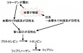 00508.jpg