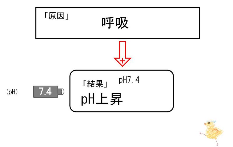 ファイル:02146.jpg