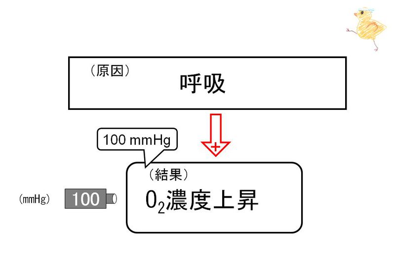 ファイル:02242.jpg