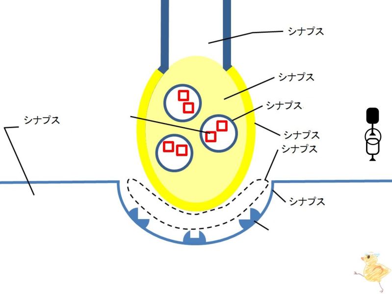 ファイル:02285-wb.jpg
