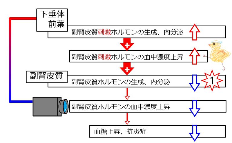 ファイル:03991.jpg