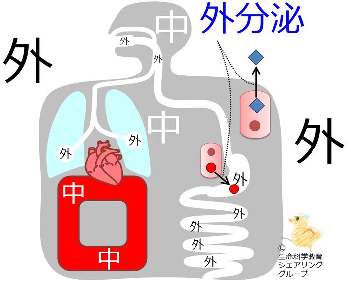ファイル:04603.jpg