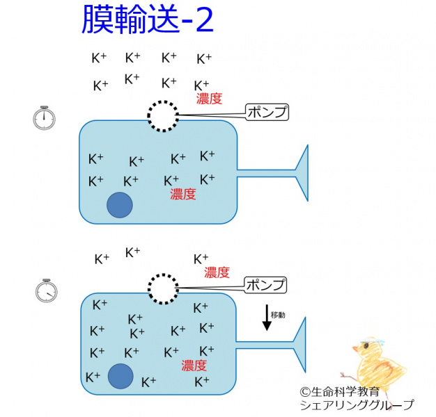 ファイル:Pump K ja-wb.jpg