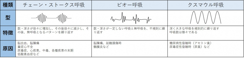 ファイル:表-バイタルサイン-呼吸-リズムの異常.jpg