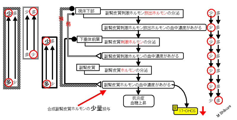 ファイル:00793.jpg