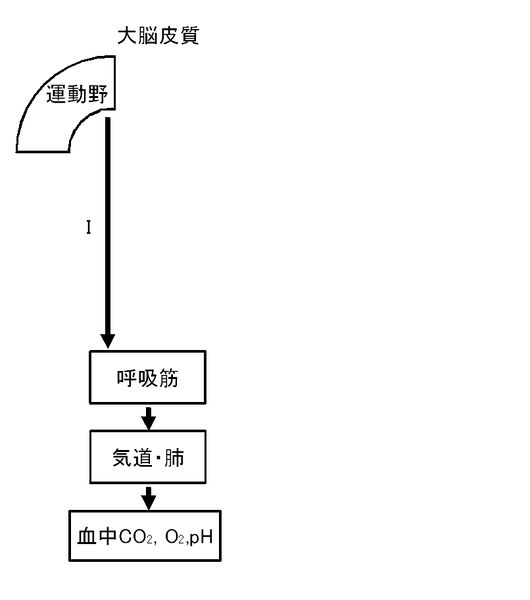 ファイル:01289.jpg