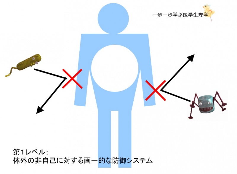 ファイル:01639.jpg