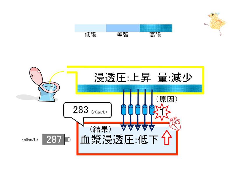 ファイル:02896.jpg