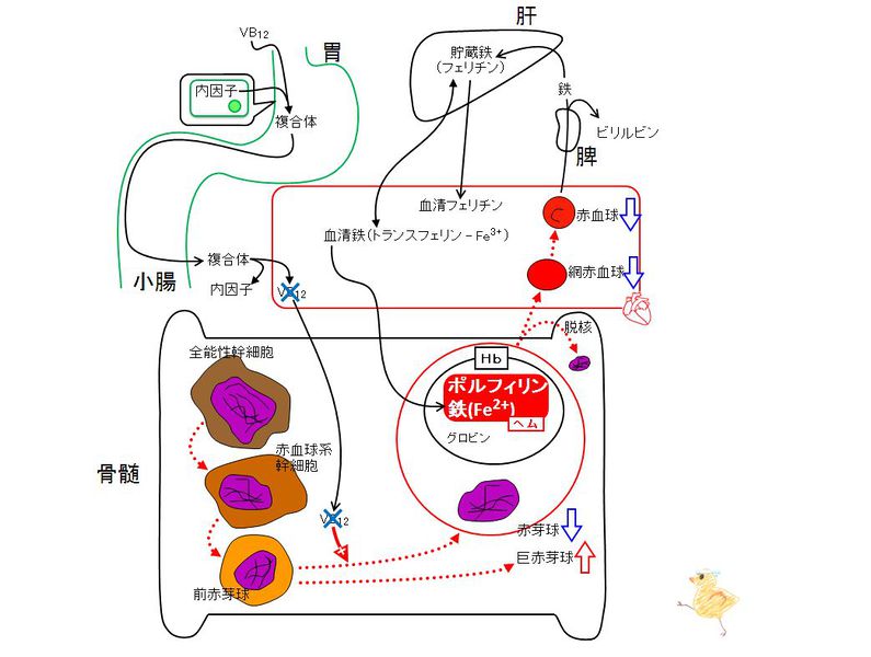 ファイル:03406.jpg