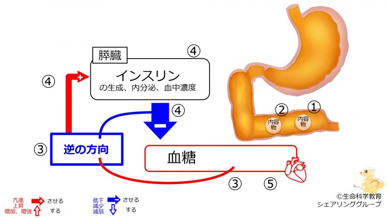 ファイル:03900-wb.jpg