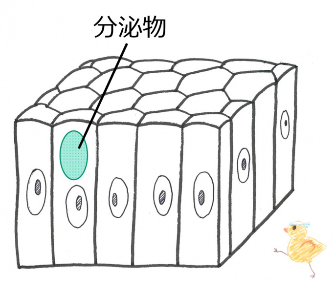 ファイル:04018.jpg