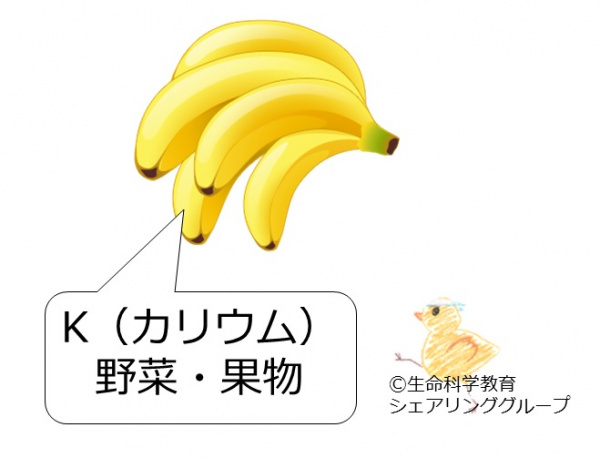 カリウム.jpg