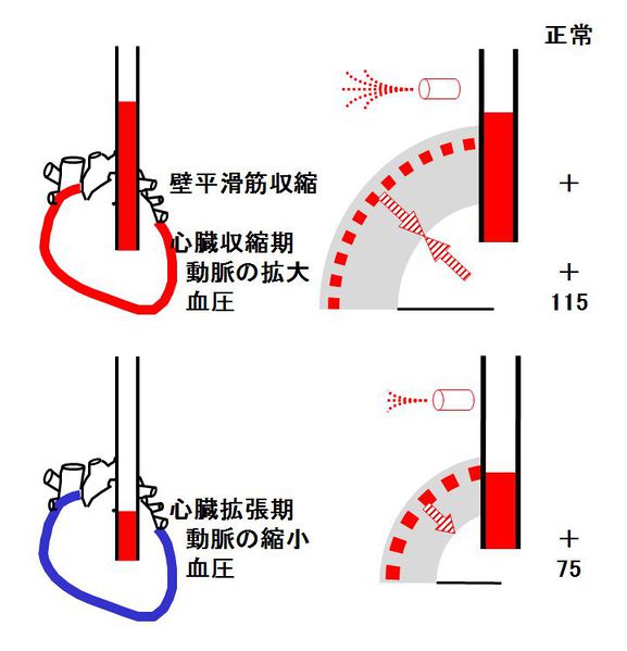 ファイル:01412.jpg