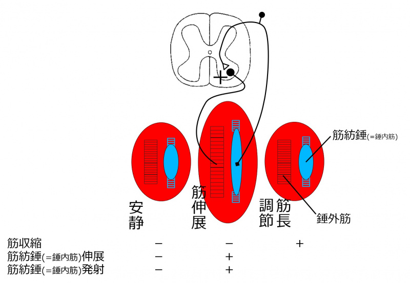 ファイル:02511.jpg